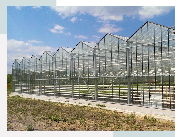Строительство теплиц в Алейск от 619 руб. за м²